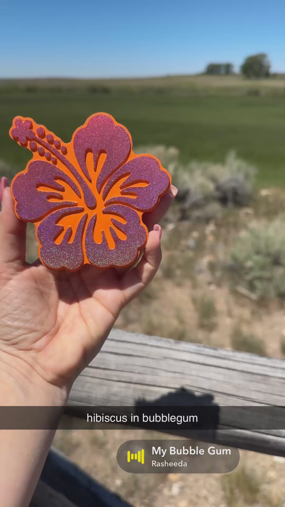 Hibiscus